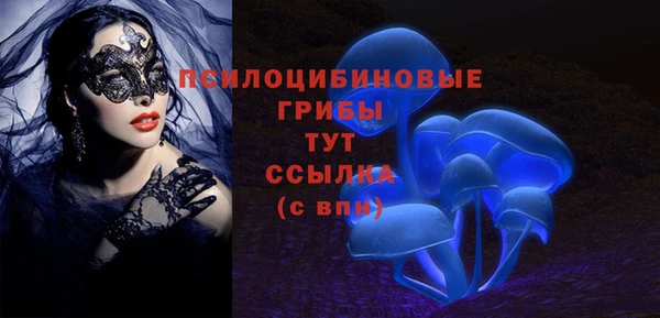 МДПВ Алексин
