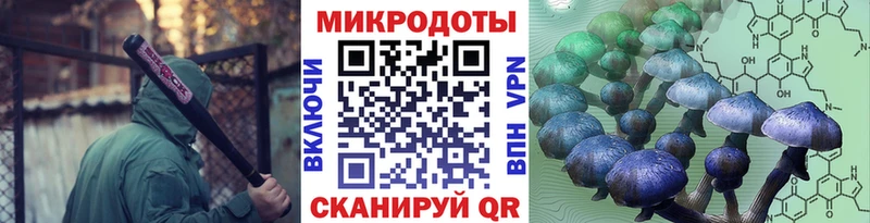 Галлюциногенные грибы прущие грибы  Ессентукская 